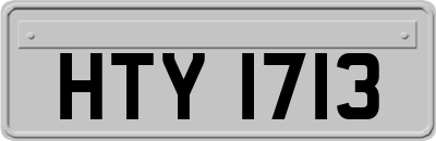 HTY1713