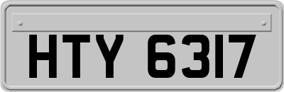 HTY6317