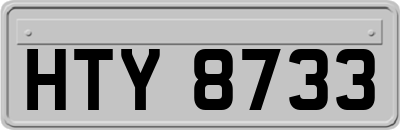 HTY8733