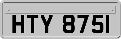 HTY8751