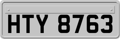 HTY8763