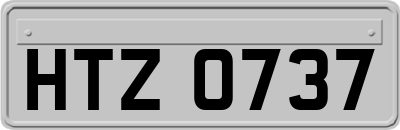 HTZ0737