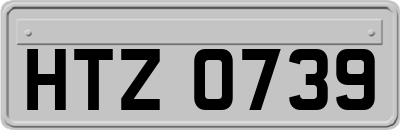 HTZ0739