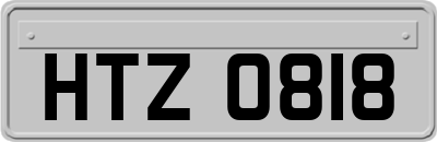 HTZ0818