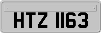 HTZ1163