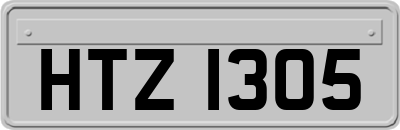 HTZ1305