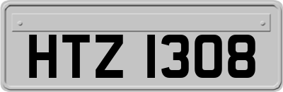 HTZ1308