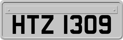 HTZ1309