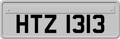 HTZ1313