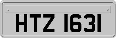 HTZ1631