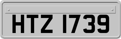 HTZ1739