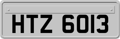 HTZ6013