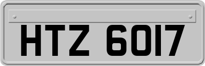 HTZ6017