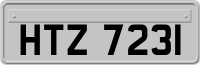 HTZ7231