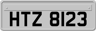 HTZ8123