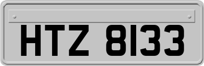 HTZ8133