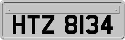 HTZ8134