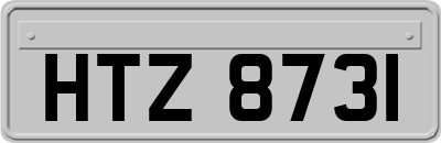 HTZ8731