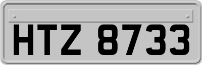 HTZ8733