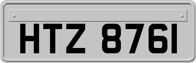 HTZ8761