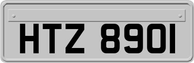 HTZ8901