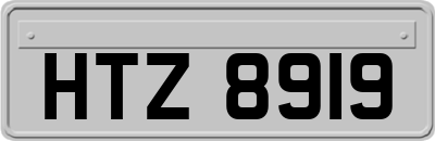 HTZ8919