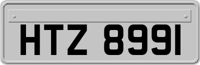 HTZ8991