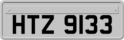 HTZ9133