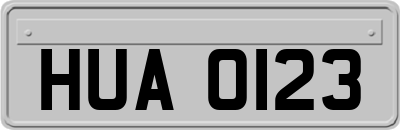 HUA0123