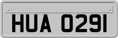 HUA0291