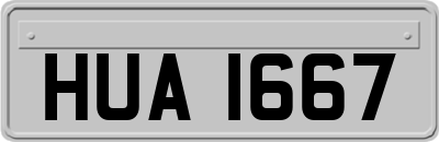 HUA1667