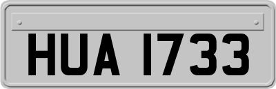 HUA1733