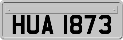 HUA1873