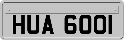 HUA6001