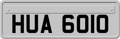 HUA6010