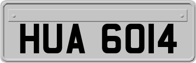 HUA6014