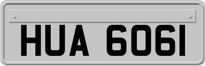 HUA6061