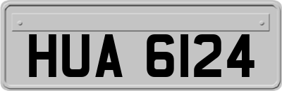 HUA6124