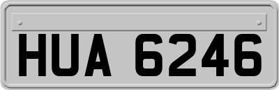 HUA6246