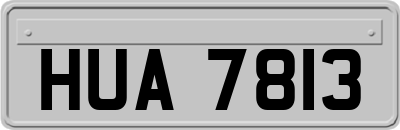 HUA7813