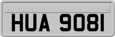 HUA9081