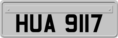 HUA9117