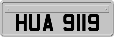 HUA9119