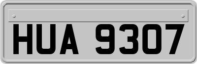 HUA9307