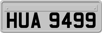 HUA9499