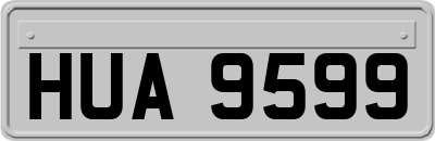 HUA9599