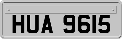 HUA9615