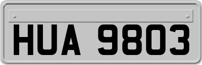 HUA9803