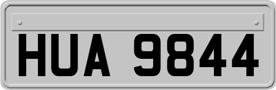 HUA9844