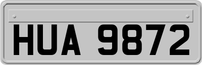 HUA9872